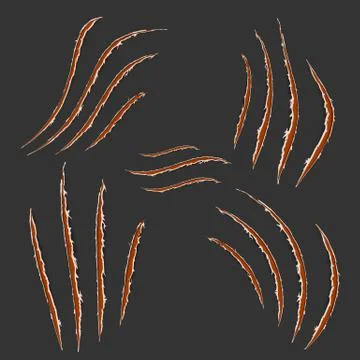 Red claws animal scratch scrape track isolated on dark background. Vector ill Stock Illustration