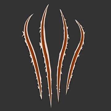 Red claws animal scratch scrape track isolated on dark background. Vector ill Stock-Illustration