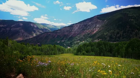 Red Cliff Mount Holy Cross Half Moon Pass Wilderness vibrant wildflowers aerial Stock Footage 316701181