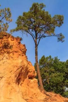 Red cliffs in roussillon (les ocres), provence, france Stock Photos