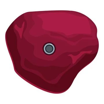 Red climbing hold providing secure grip for indoor climbing gym wall Illustrazione stock