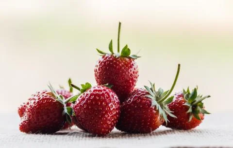 Red close up strawberries with selective focus on a strawberry with many st.. Stock Photos