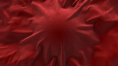 Red Cloth Reveal Stock Footage 100556782