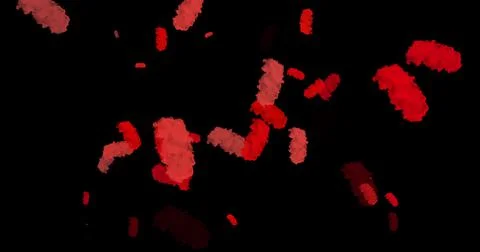 Red clouds, Landscape red clouds 4K, motion graphics, black background with 스톡 일러스트