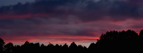 Red Clouds Over Forest Sunset Timelapse Anamorphic Stock Footage 139521637