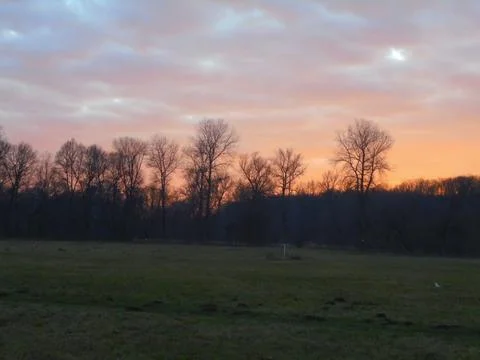 Red cloudy sunset behind bare forest in snowless winter. Stock Photos