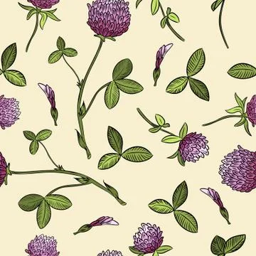 Red clover botanical boho seamless pattern. Vector image イラスト素材