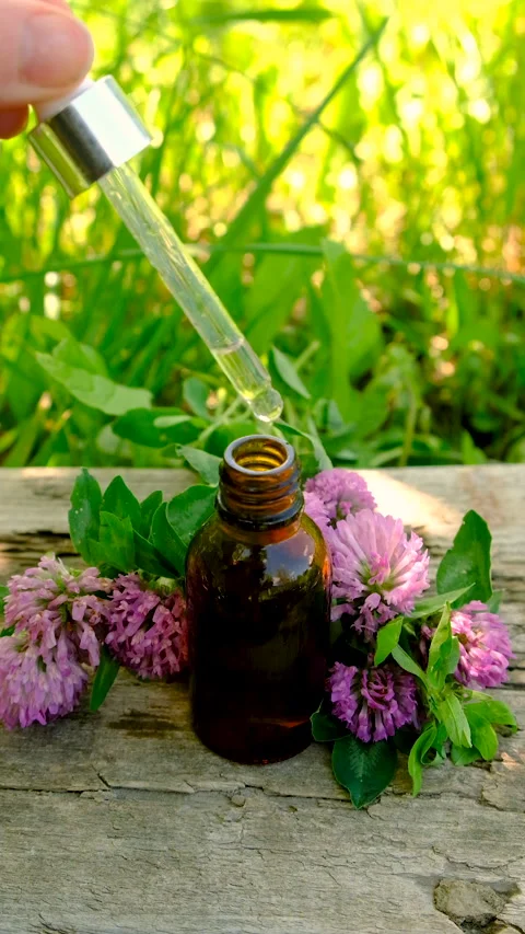 Red Clover Extract and Supplements. Selective Focus. Stock Footage 311694082