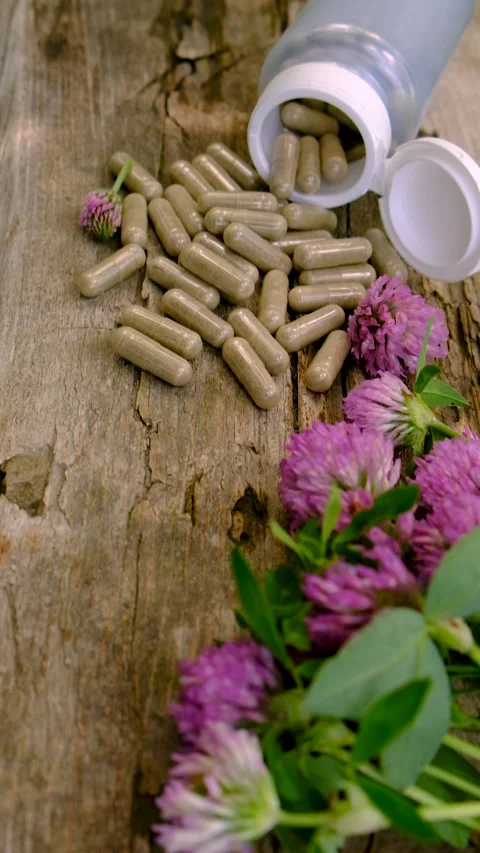 Red Clover Extract and Supplements. Selective Focus. Stock Footage 313219201