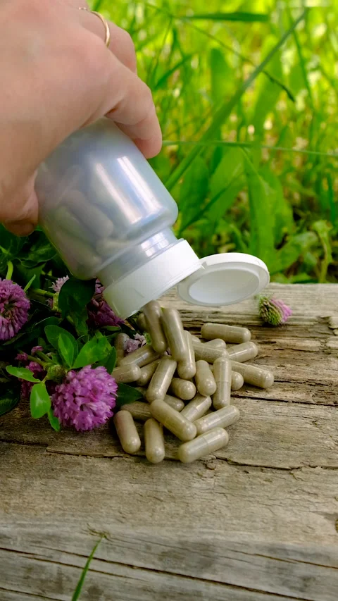 Red Clover Extract and Supplements. Selective Focus. Stock Footage 313663727