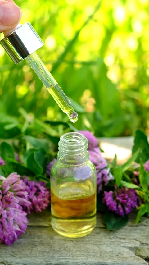 Red Clover Extract and Supplements. Selective Focus. Stock Footage 313976196