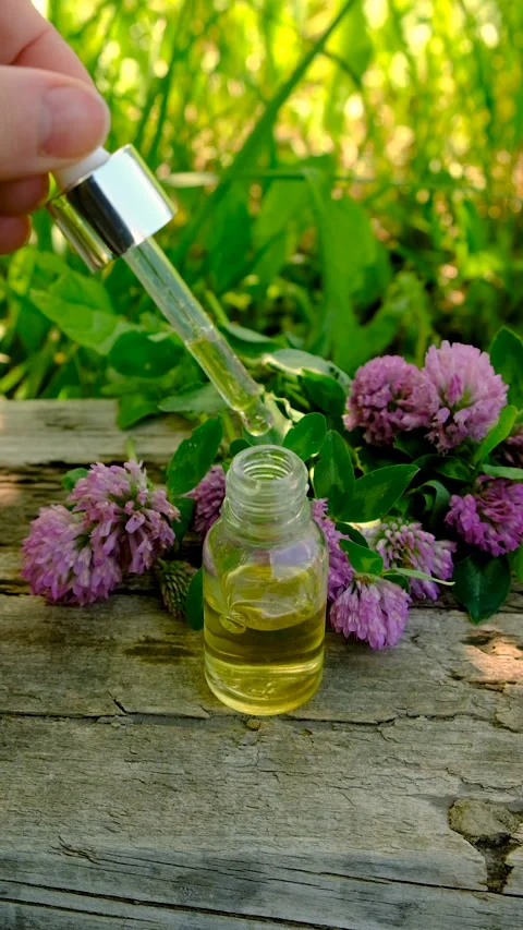 Red Clover Extract and Supplements. Selective Focus. Stock Footage 315204555