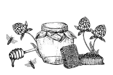 Red clover honey vector illustration. Hand drawn spoon, bee, honeycomb, jar, Ilustração Stock