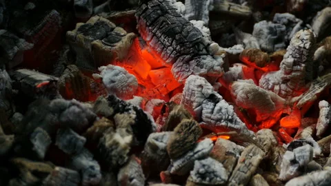 Red coals and ashes of a burning fire Stock Footage 223715216