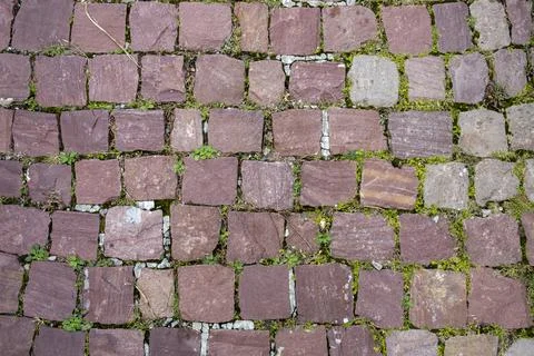 Red cobble stone path with green weed between the stones Stock Photos