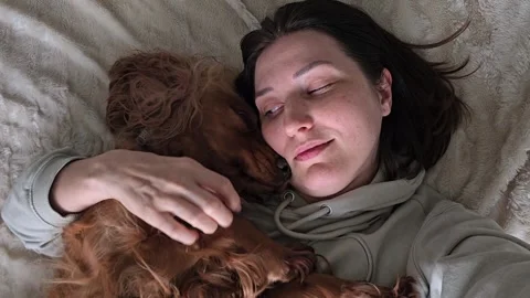 Red cocker spaniel peacefully sleeping next to woman, showing deep bond and.. Stock Footage 336958165
