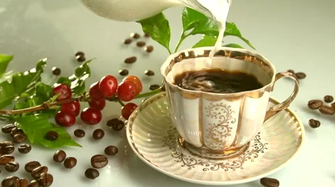 Red coffee beans on a branch of coffee tree.Pouring milk into a cup of coffee. Video stock 61197569