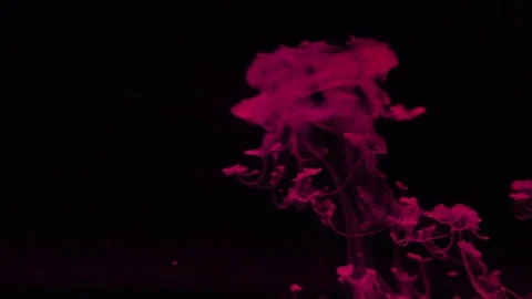 Red color bubble on black background Video stock 76911676