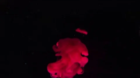 Red color bubble on black background Video stock 76915323