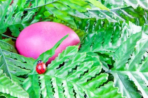 Red color Easter egg lying in green leafs and small lady bug Stock Photos