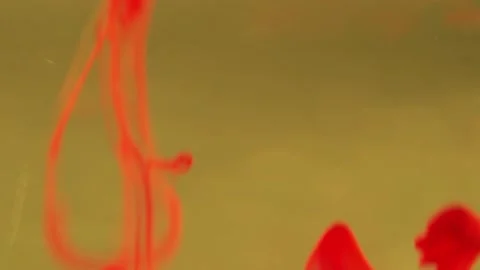 Red color paint ink drops in water. Inky blood cloud swirling flowing unde Video stock 171725341