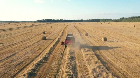 Red combine harvester collected wheat grain in agricultural field Stock Footage 314668310