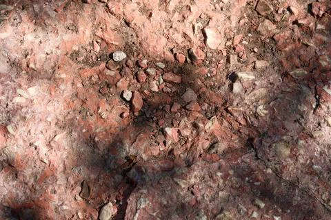 Red Concrete Surface with Small Crushed Stones and Hard Shadow Texture. Stock Photos