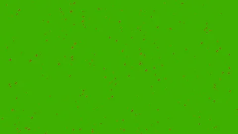 Red confetti falling on green screen for celebration party overlay 4K Vídeos de archivo 336484486