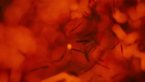 Red confetti particles exploding in slow motion. Abstract bokeh background Stock Footage 293102315