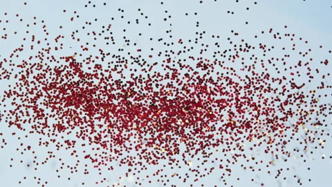 Red Confetti Particles. Stock Footage 260402271