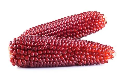Red corn Stock Photos