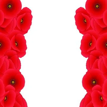 Red Corn Poppy Border Stock Illustration