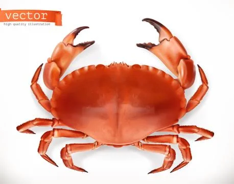 Red crab. 3d vector icon. Seafood, realism style Stock Illustration