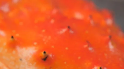 Red crab Stock Footage 89968338