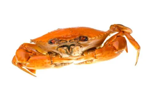 Red crab Stock Photos