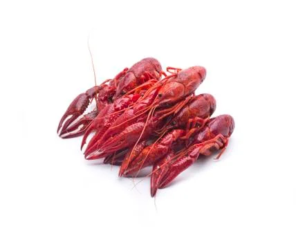 Red crab Stock Photos