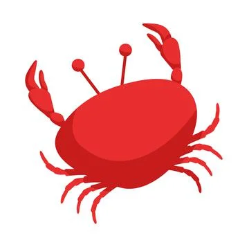 Red crab vector illustration.. Isolated on white background. Sea creature. Stock Illustration
