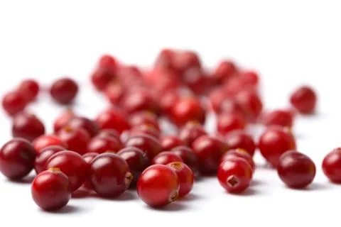 Red cranberries isolated Stock Photos