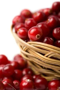 Red cranberries isolated Stock Photos