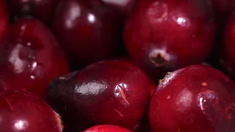 Red cranberries of the pomegranate Video stock 291733725