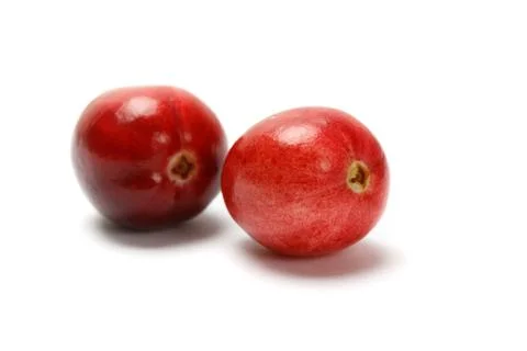 Red cranberry fruit Stock Photos