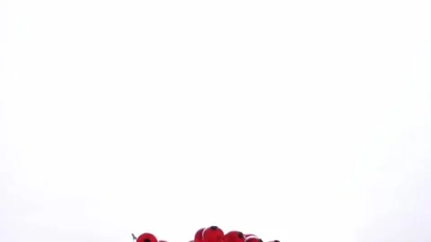 Red cranberry on a white background Stock Footage 131366328