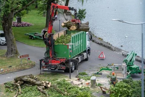 Red crane remove a tree at lakeside in Villneuve in Switzerland. Stock-Fotos