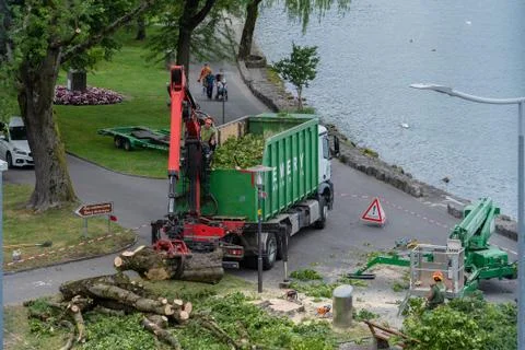 Red crane remove a tree at lakeside in Villneuve in Switzerland. 스톡 사진