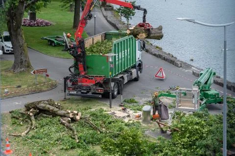 Red crane remove a tree at lakeside in Villneuve in Switzerland. Stock-Fotos