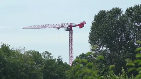 Red Crane on a windy day (Time-Lapse) Video stock 201183678