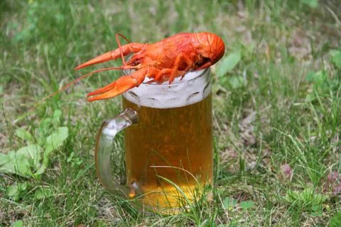 Red crawfish Stock Photos