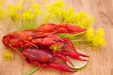 Red crayfish 스톡 사진
