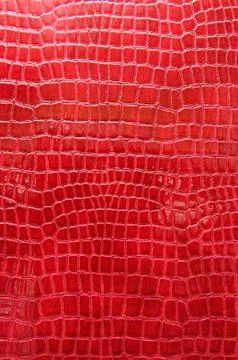 Red crocodile leather Stock Photos