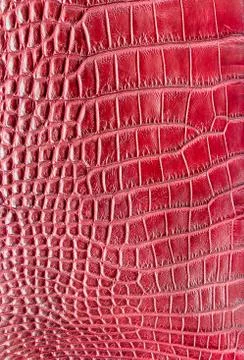 Red crocodile leather texture  background 写真素材